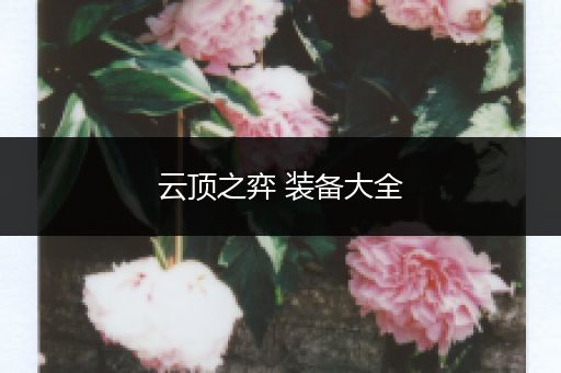 云顶之弈 装备大全