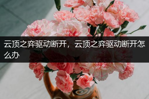 云顶之弈驱动断开，云顶之弈驱动断开怎么办