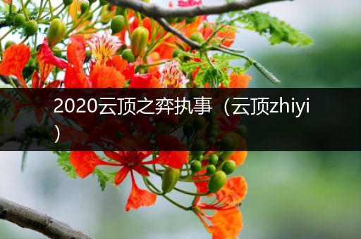 2020云顶之弈执事（云顶zhiyi）