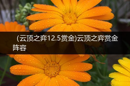 （云顶之弈12.5赏金)云顶之弈赏金阵容