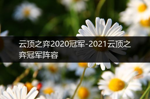 云顶之弈2020冠军-2021云顶之弈冠军阵容