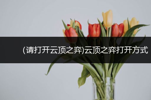 （请打开云顶之弈)云顶之弈打开方式