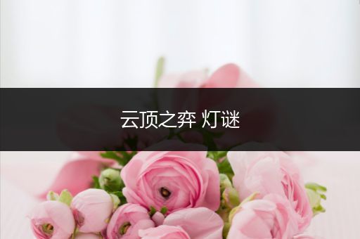 云顶之弈 灯谜