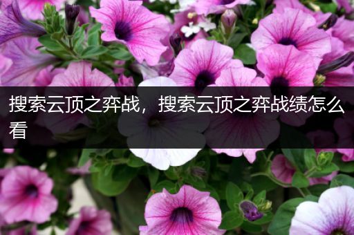 搜索云顶之弈战，搜索云顶之弈战绩怎么看