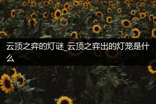 云顶之弈的灯谜_云顶之弈出的灯笼是什么