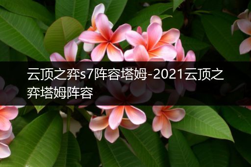 云顶之弈s7阵容塔姆-2021云顶之弈塔姆阵容