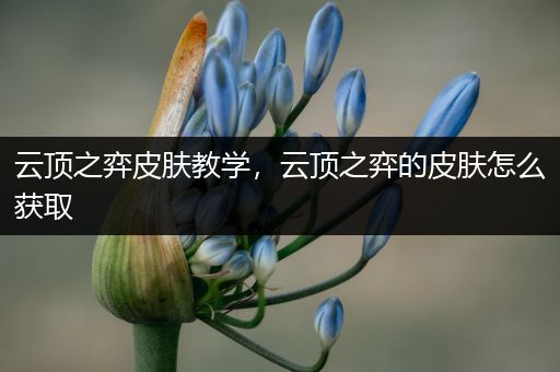 云顶之弈皮肤教学，云顶之弈的皮肤怎么获取