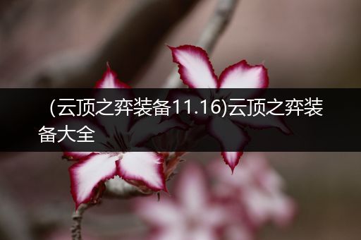 （云顶之弈装备11.16)云顶之弈装备大全