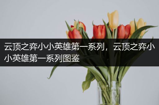 云顶之弈小小英雄第一系列，云顶之弈小小英雄第一系列图鉴