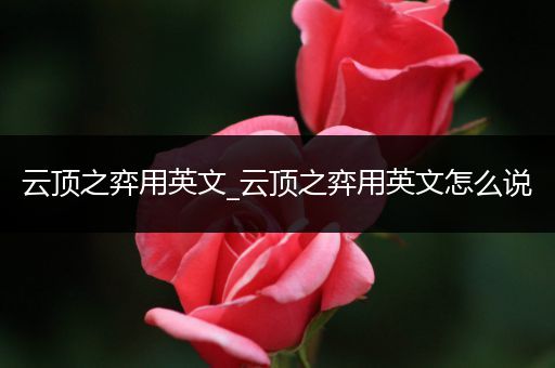 云顶之弈用英文_云顶之弈用英文怎么说