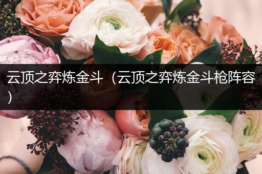 云顶之弈炼金斗（云顶之弈炼金斗枪阵容）
