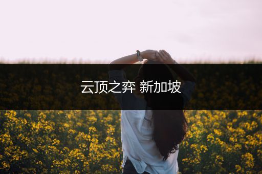 云顶之弈 新加坡