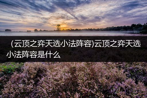 （云顶之弈天选小法阵容)云顶之弈天选小法阵容是什么
