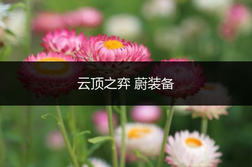 云顶之弈 蔚装备