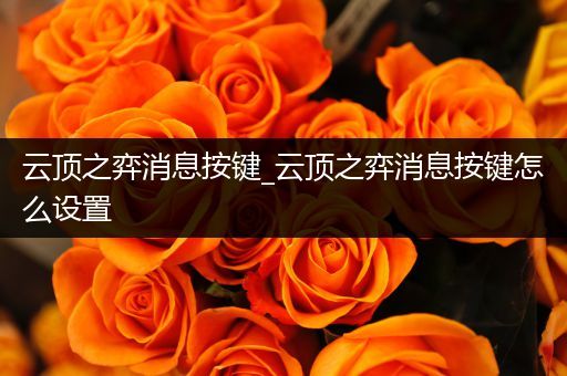 云顶之弈消息按键_云顶之弈消息按键怎么设置