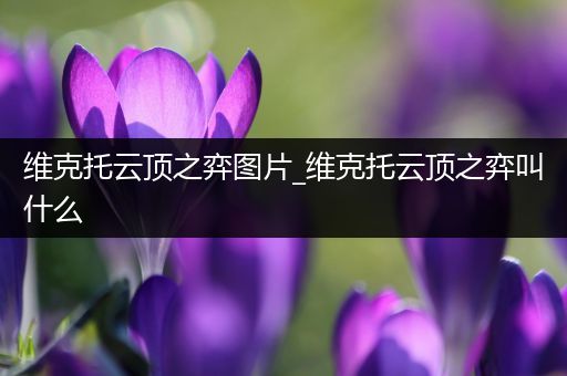 维克托云顶之弈图片_维克托云顶之弈叫什么