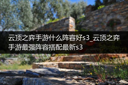 云顶之弈手游什么阵容好s3_云顶之弈手游最强阵容搭配最新s3