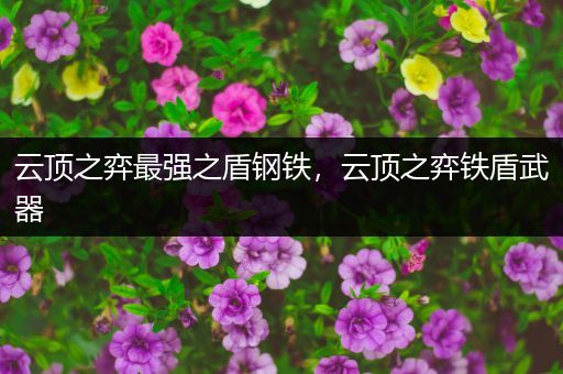 云顶之弈最强之盾钢铁，云顶之弈铁盾武器