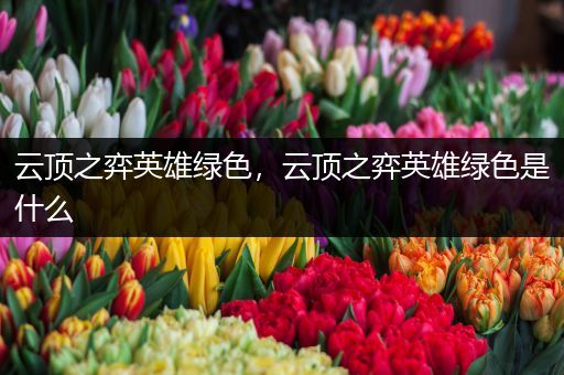 云顶之弈英雄绿色，云顶之弈英雄绿色是什么