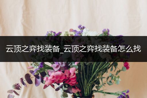 云顶之弈找装备_云顶之弈找装备怎么找