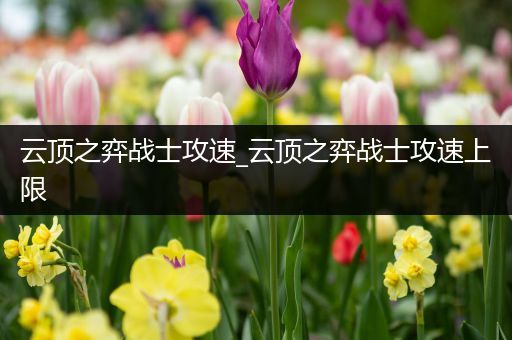 云顶之弈战士攻速_云顶之弈战士攻速上限