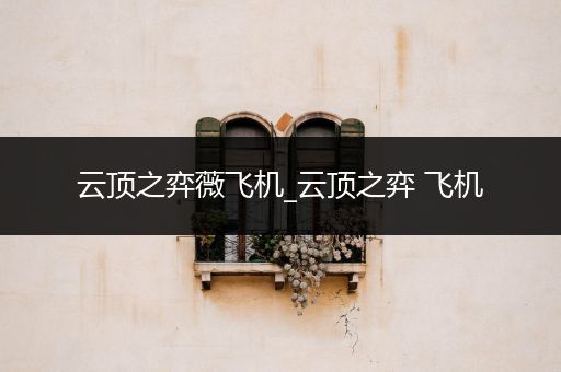 云顶之弈薇飞机_云顶之弈 飞机
