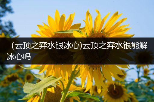 （云顶之弈水银冰心)云顶之弈水银能解冰心吗