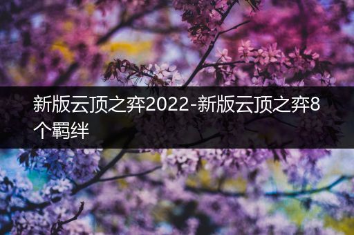 新版云顶之弈2022-新版云顶之弈8个羁绊