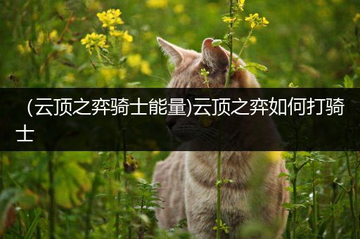 （云顶之弈骑士能量)云顶之弈如何打骑士