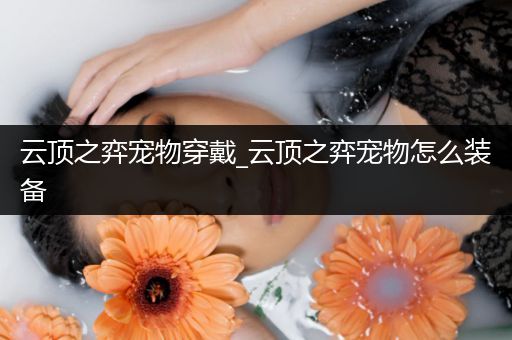 云顶之弈宠物穿戴_云顶之弈宠物怎么装备
