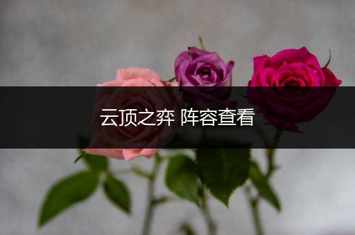 云顶之弈 阵容查看