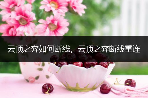 云顶之弈如何断线，云顶之弈断线重连