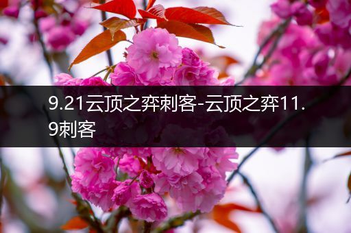 9.21云顶之弈刺客-云顶之弈11.9刺客