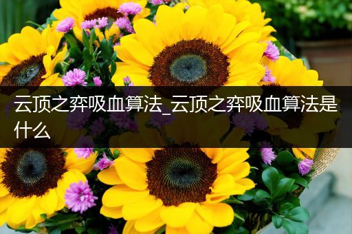 云顶之弈吸血算法_云顶之弈吸血算法是什么
