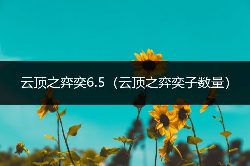 云顶之弈奕6.5（云顶之弈奕子数量）