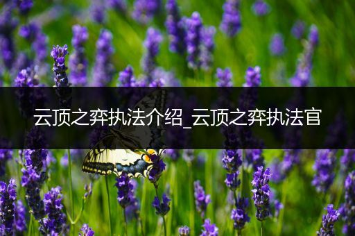 云顶之弈执法介绍_云顶之弈执法官