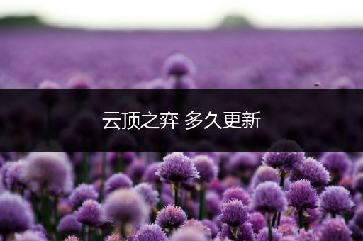 云顶之弈 多久更新
