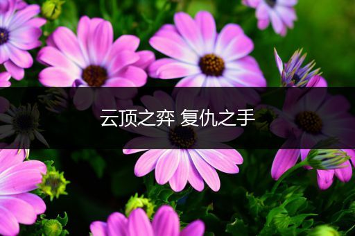 云顶之弈 复仇之手