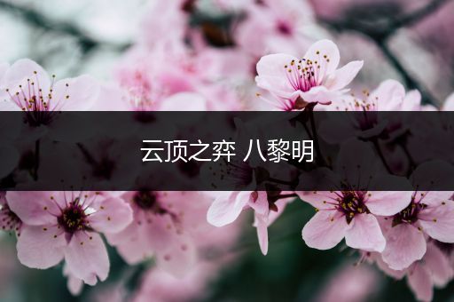 云顶之弈 八黎明