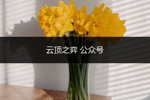 云顶之弈 公众号