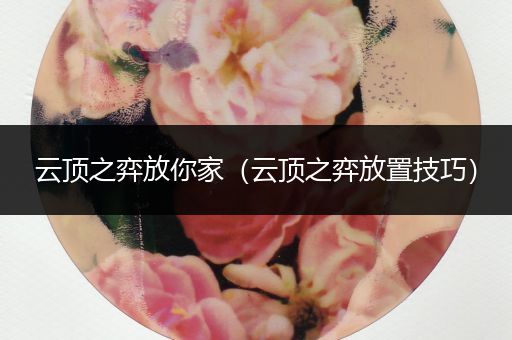 云顶之弈放你家（云顶之弈放置技巧）