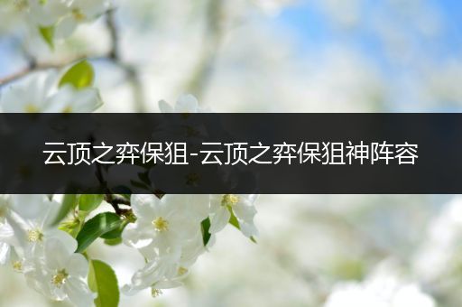 云顶之弈保狙-云顶之弈保狙神阵容