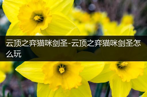 云顶之弈猫咪剑圣-云顶之弈猫咪剑圣怎么玩