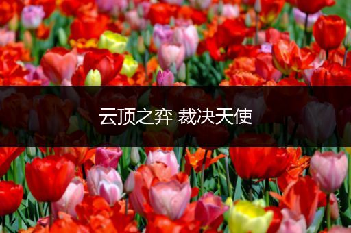 云顶之弈 裁决天使