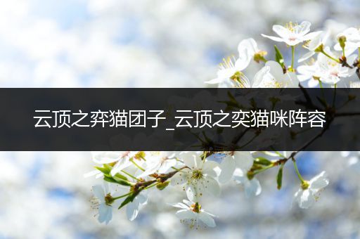 云顶之弈猫团子_云顶之奕猫咪阵容