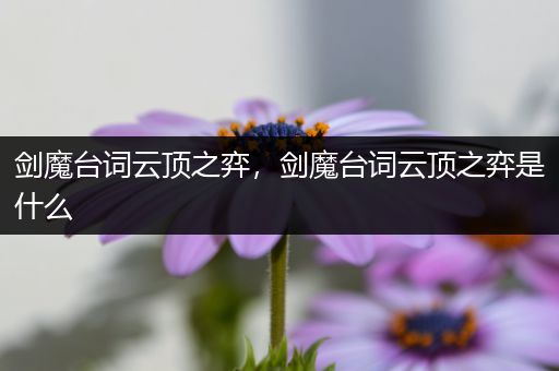 剑魔台词云顶之弈，剑魔台词云顶之弈是什么