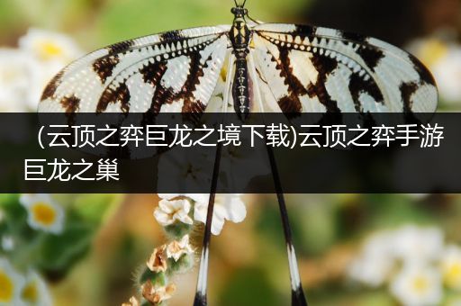 （云顶之弈巨龙之境下载)云顶之弈手游巨龙之巢
