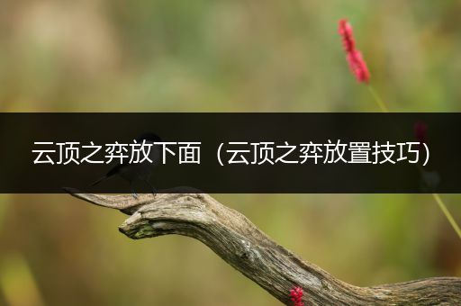 云顶之弈放下面（云顶之弈放置技巧）