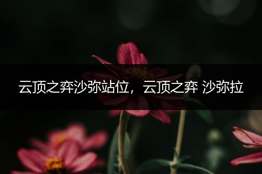 云顶之弈沙弥站位，云顶之弈 沙弥拉