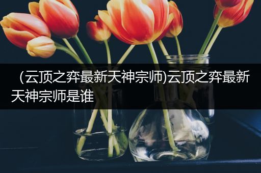 （云顶之弈最新天神宗师)云顶之弈最新天神宗师是谁